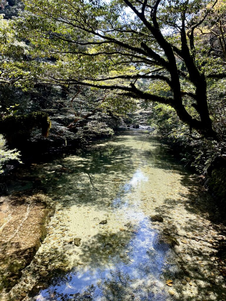 美しい淀川